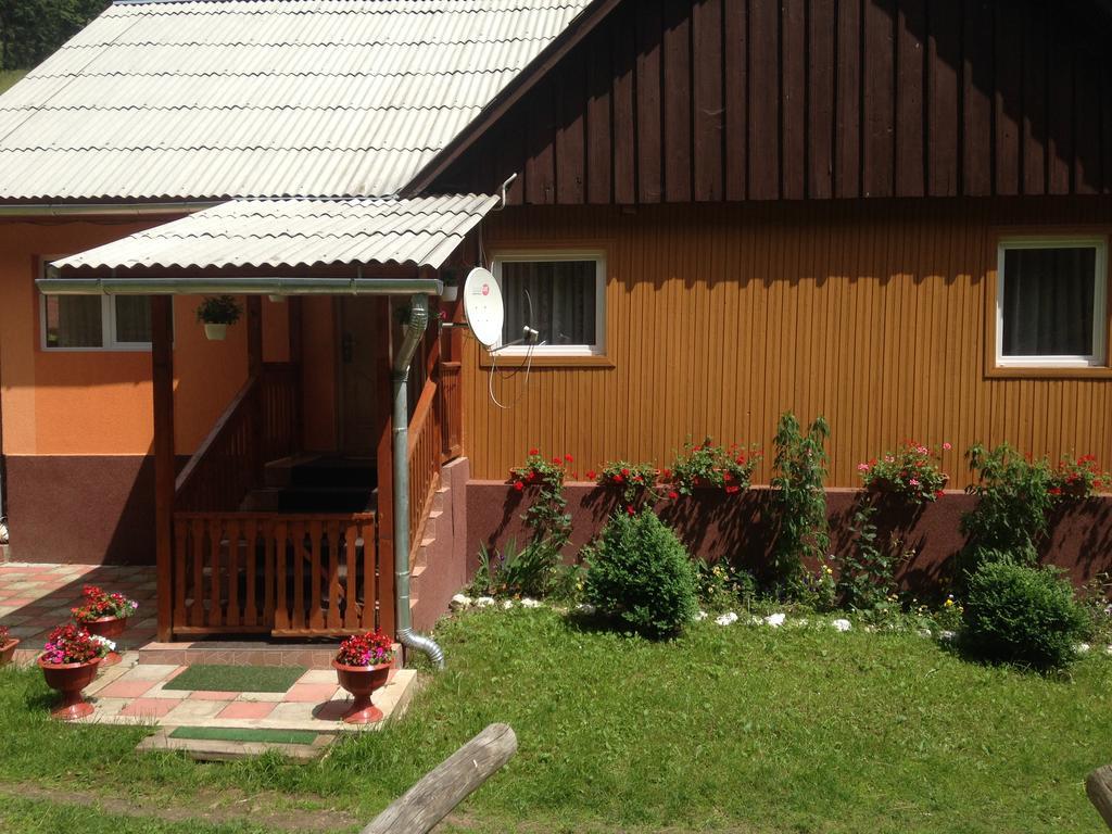 Moara Lui Ivan Hanasesti Bagian luar foto